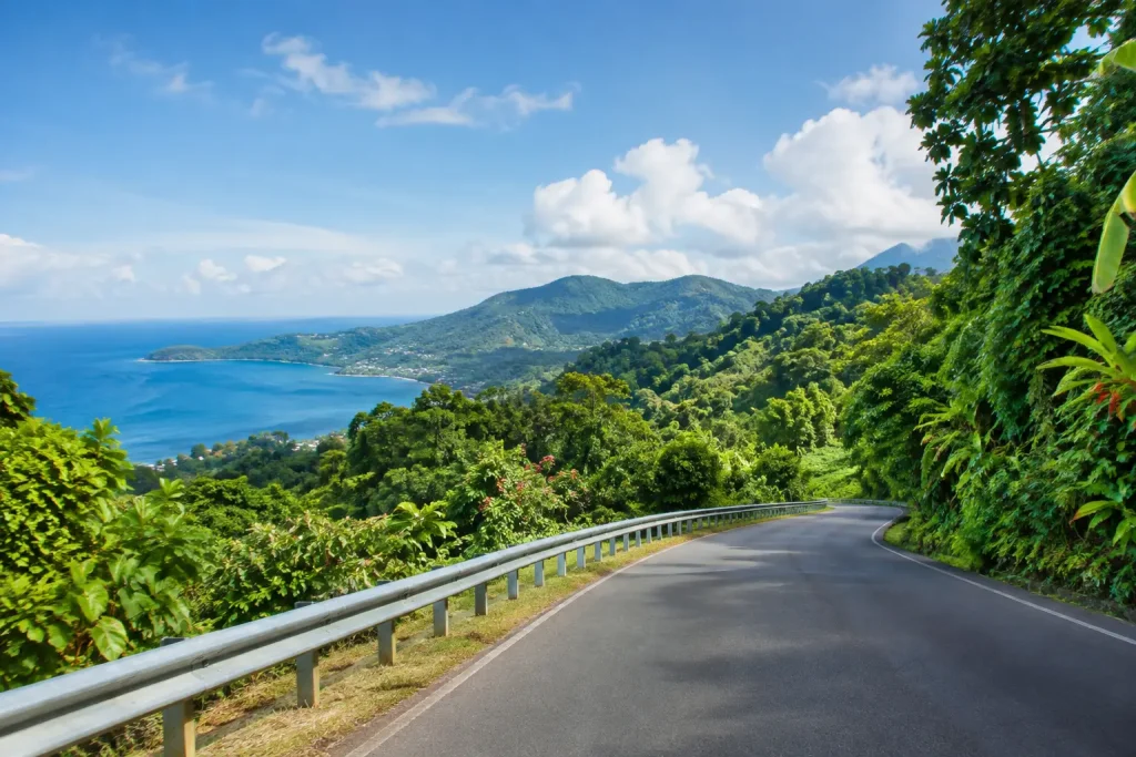 Grenada Rainforest Driving Route Guide Tips